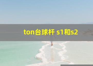 ton台球杆 s1和s2